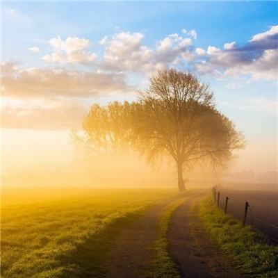 金年会电子游戏app